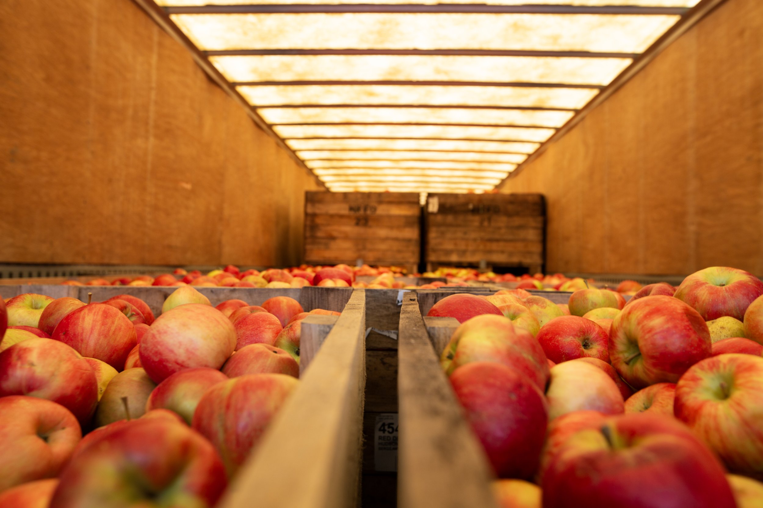 SDGsバタフライテーブル AIOT! ver.-WHITE LOGO 抽選販売】バタフライスツール AIOT! ver. - NATAL DESIGN ONLINE SHOP